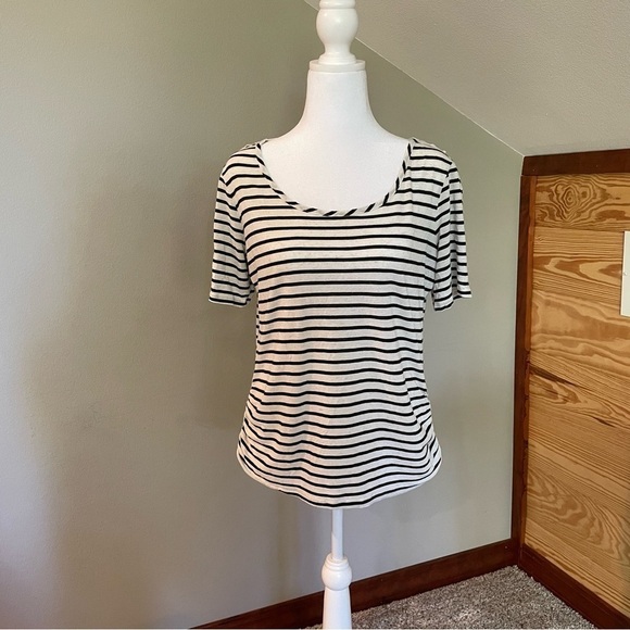 Charlotte Russe Striped Sheer Lace Crochet Back Top Blouse Large - Picture 1 of 7